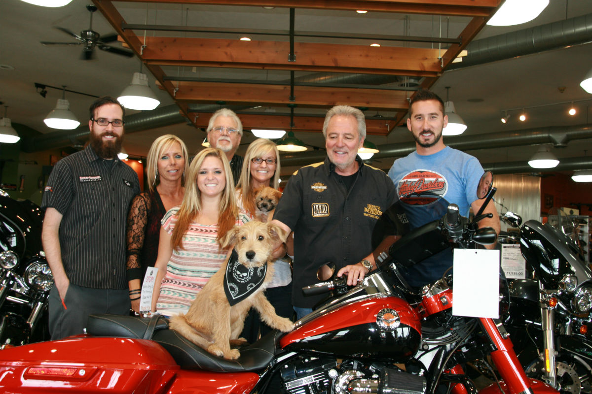 Help LakeshorePAWS Crowdfund for a New Recue Van on Youcaring.com!