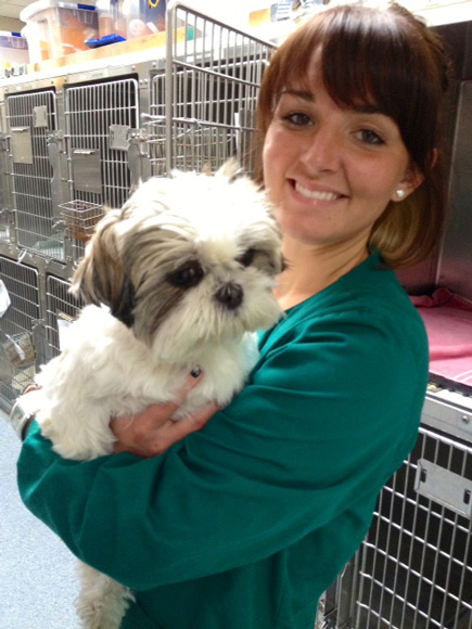 Another Lost Puppy at Vale Park