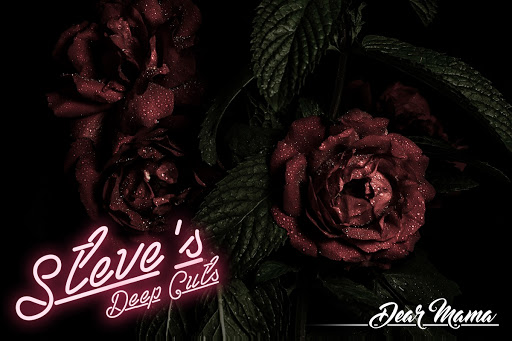 Steve&#8217;s Deep Cuts: Dear Mama
