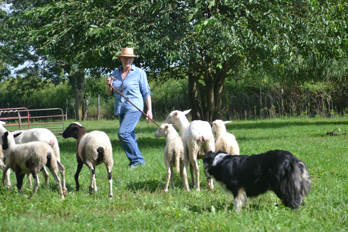 A La Porte County Life in the Spotlight: Maureen Guse