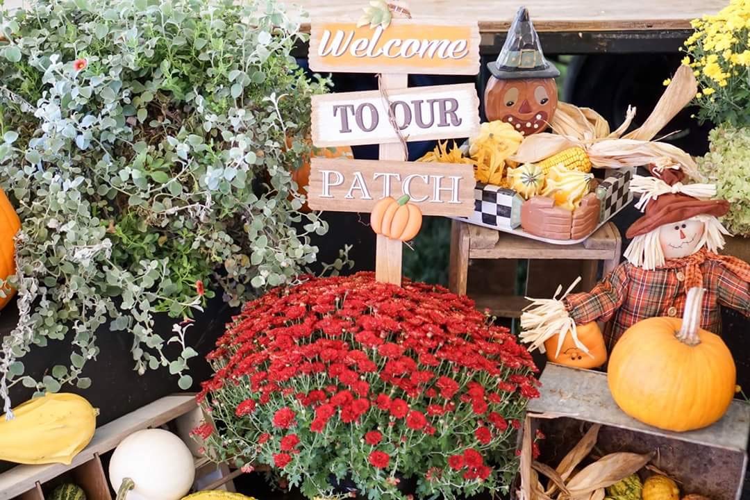 #1StudentNWI: Westville Celebrates Pumpkin Festival and More