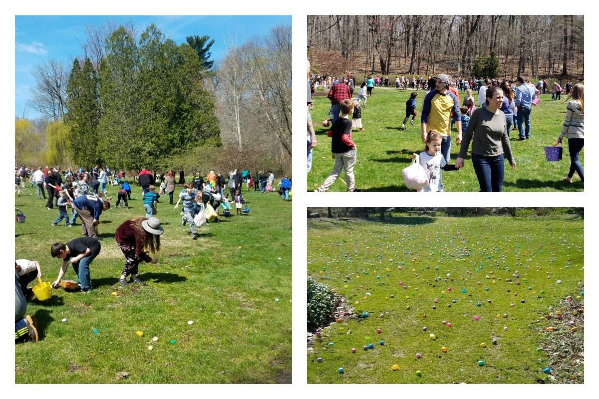 Friendship Botanic Gardens Easter Egg Hunt an Unprecedented Success
