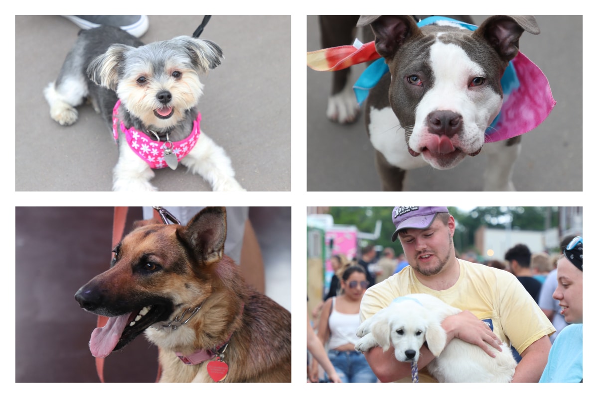 Pup Crawl 2019 Raises Awareness for Lakeshore Paws