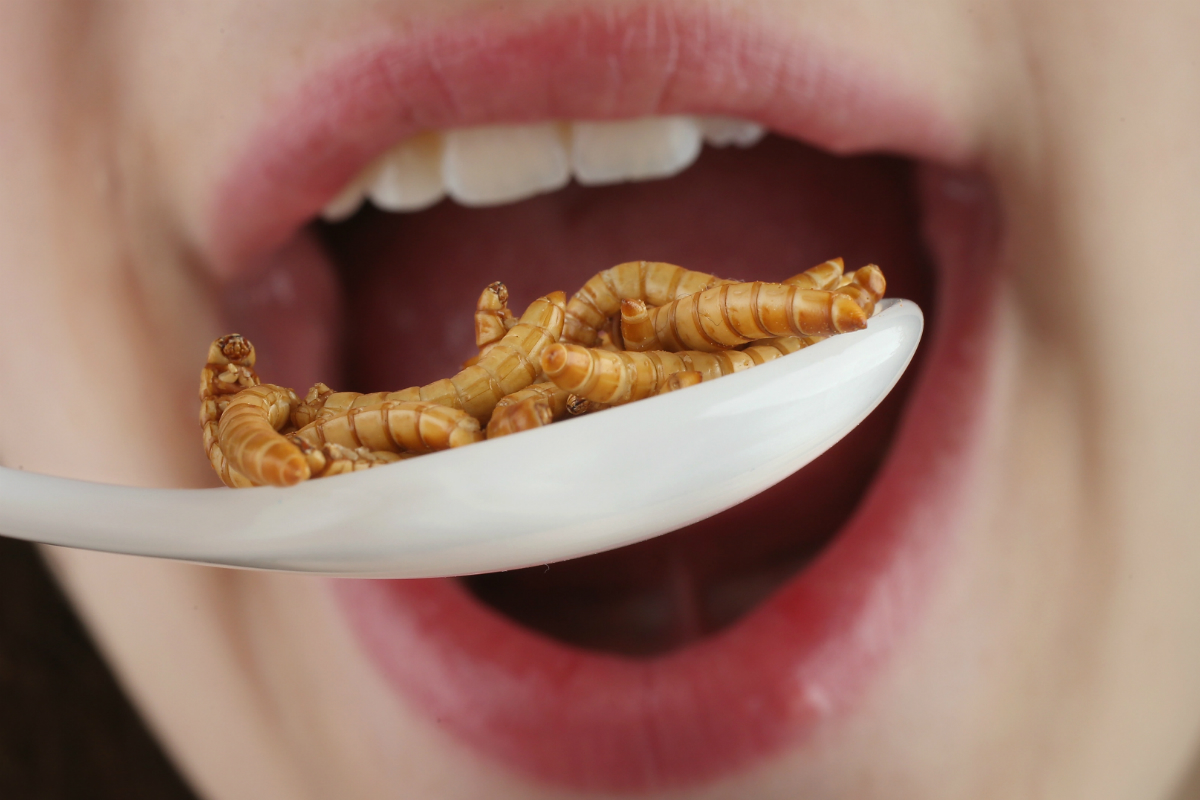 Crunchy Bugs &amp; Grimy Grubs: The Future of Food?