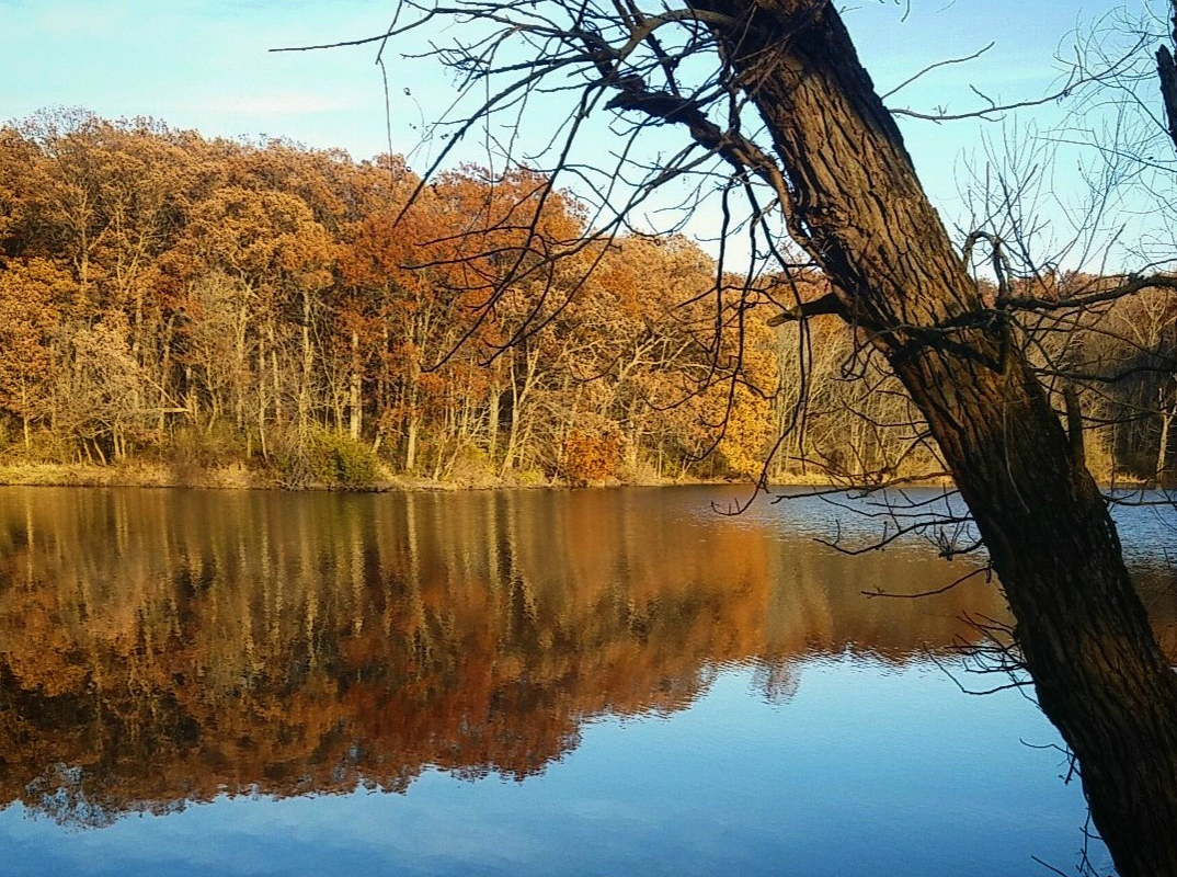 Hidden Hiking Gems of Northwest Indiana