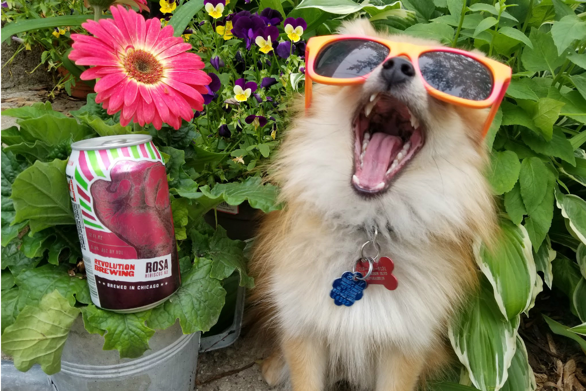 Indiana Beverage is Delivering Some Unique Summer Drinks to Quench Your Thirst This Season!