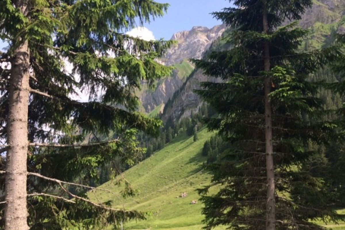 #1StudentNWI: A Trip to Remember