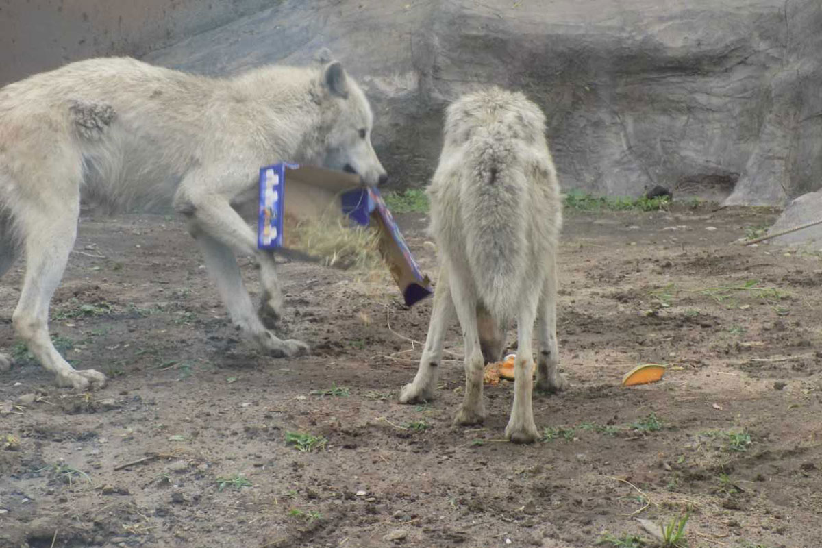 Schools, Organizations Can Benefit Through Porter County Recycling &amp; Waste Reduction’s Reuse Fair