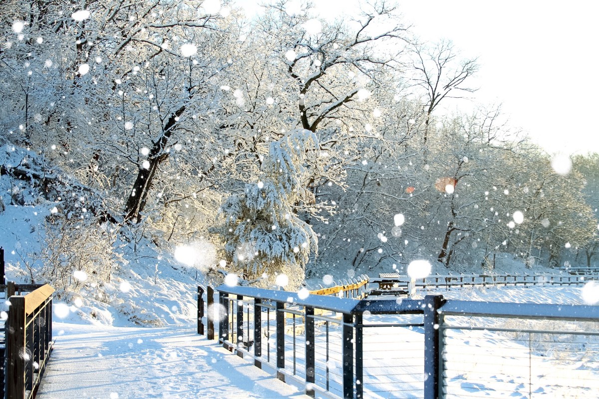 A Winter of Fun, Basketball, and Family at La Lu